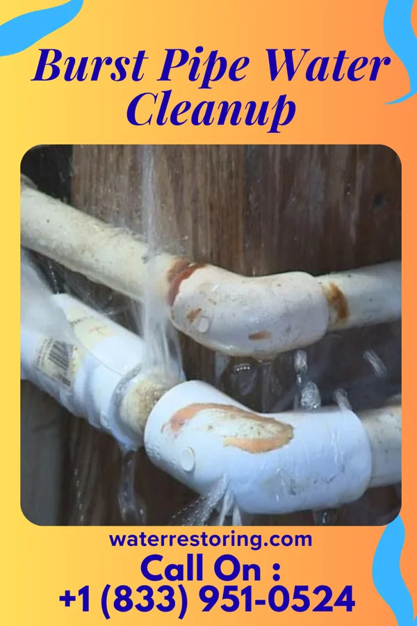 Burst Pipe Water Cleanup in Somerville, IN