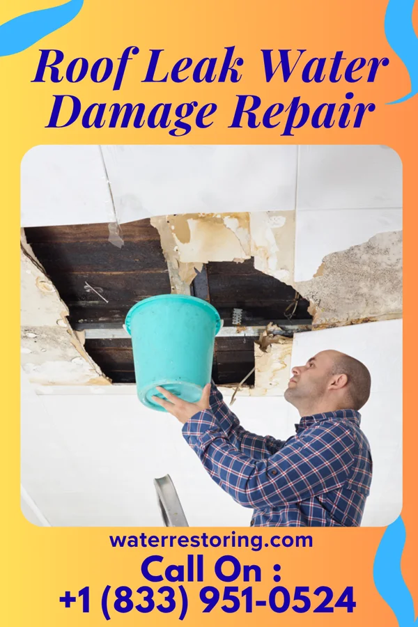Roof Leak Water Damage Repair in Somerville, IN