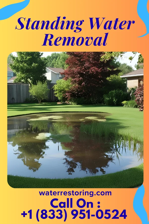 Standing Water Removal in Somerville, IN